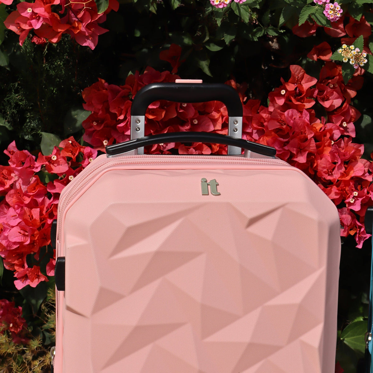 Ice Cap Plus - 3pc Set (Gossamer Pink)