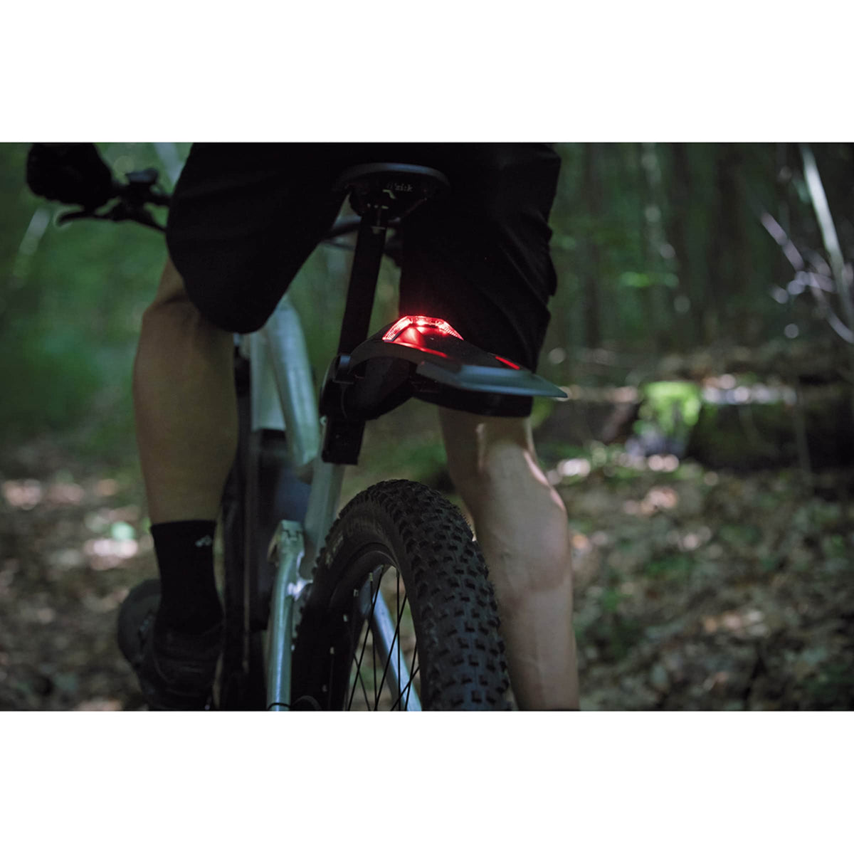 MonkeyLink Monkey Fender Set MTB CONNECT With Rear Light For E-MTB