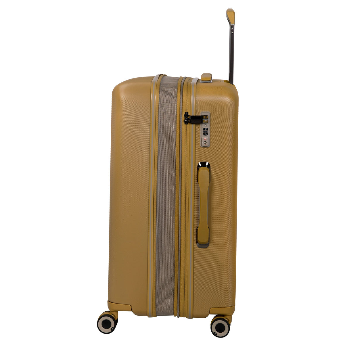  Rapidity - 3pc Set (Cuban Gold)